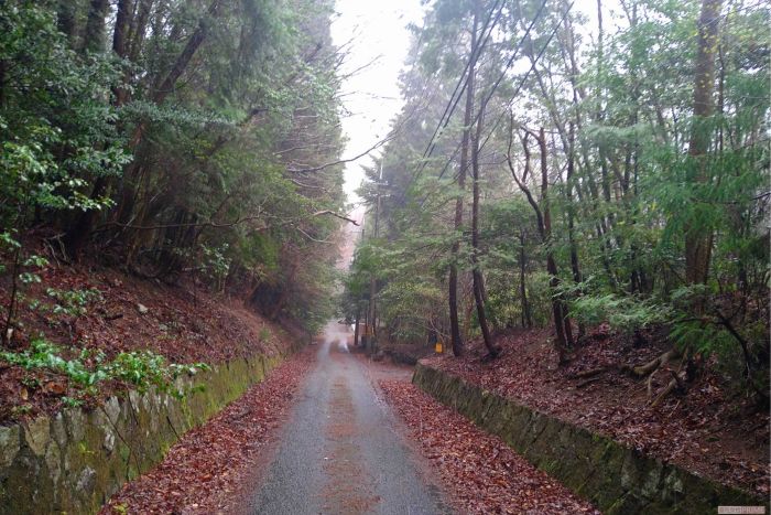 警察が捜索した自宅近くの山林には別荘が点在する