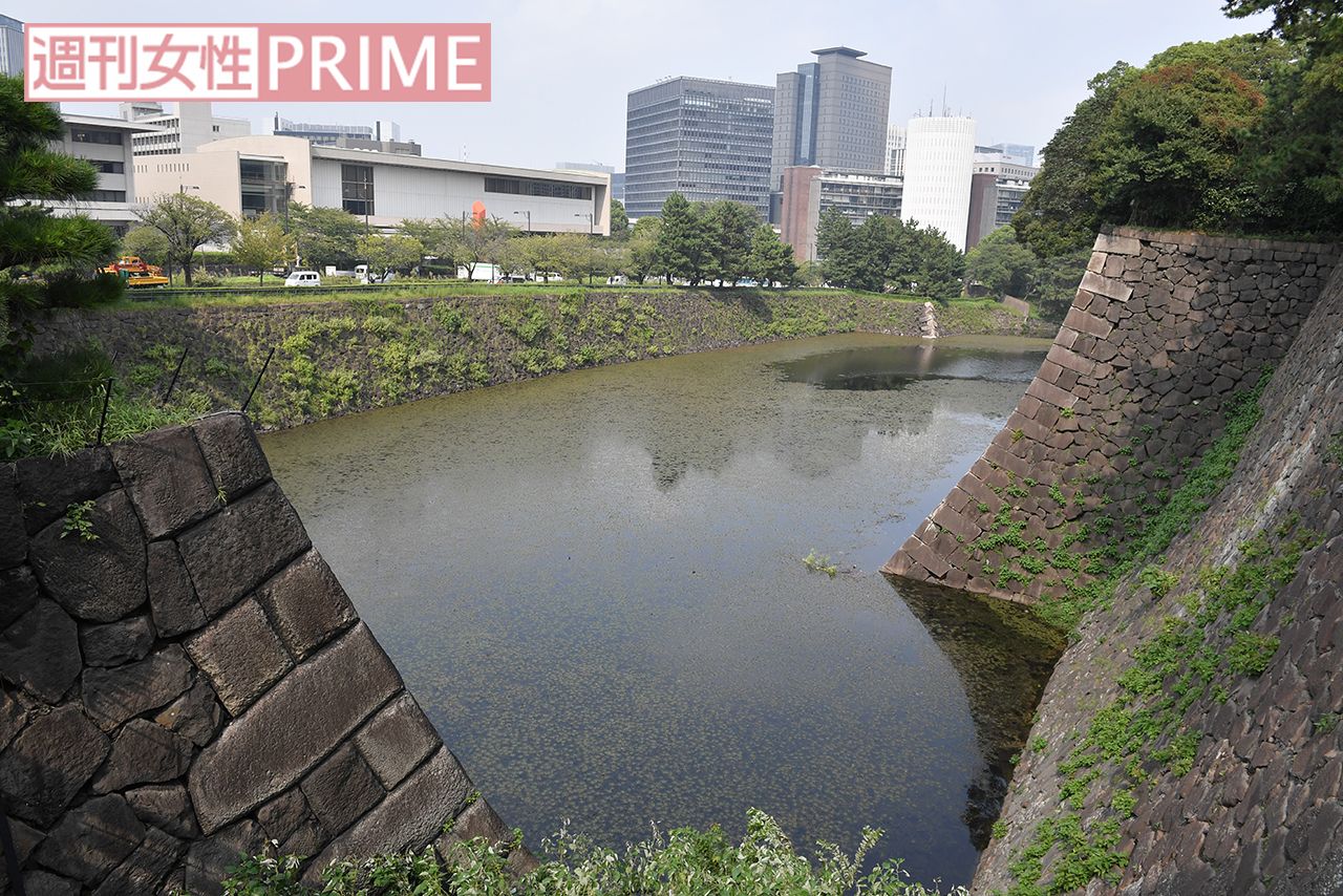 皇居といえばお濠。本丸近くの「平川濠」の石垣は18・5㍍と江戸城一の高さ　撮影／渡邉智裕