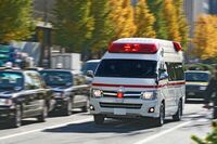 《新型コロナ》病床・感染症専門医の不足が深刻、医療崩壊の危険性が高い都道府県は