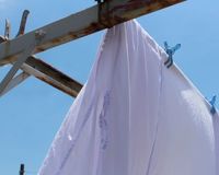 衣類のニオイを防ぐ洗濯法「洗濯機の容量の7割を目安に」