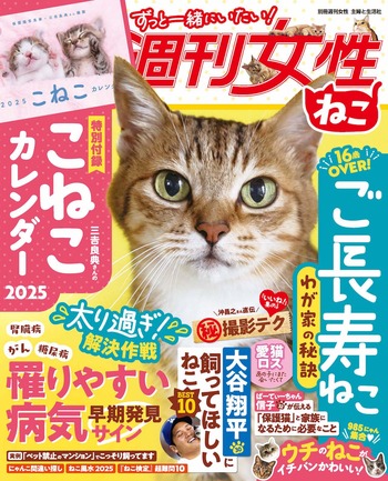 『週刊女性ねこ』（別冊週刊女性)
表情、しぐさ、鳴き声……どこをとってもかわいくて愛くるしいのがねこ！大好きで大切なねこちゃんだから、ずっと一緒にいたいし、楽しく過ごしたい。そんな愛猫家の願いをギュギュッと一冊に詰め込みました！
※画像をクリックするとAmazonの商品ページにジャンプします。