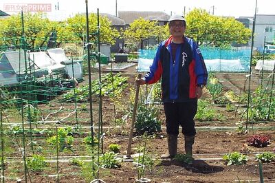 森永さんが所有する約30坪の畑で農作業。トマトやきゅうり、なす、大根などさまざまな野菜を育てていて、家計の助けに