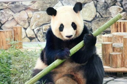 良浜　らうひん（撮影／二木繁美）