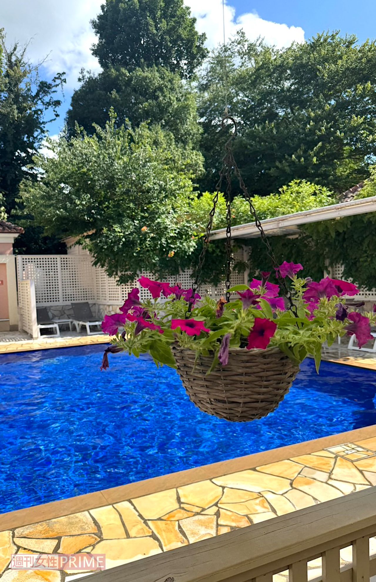 撮影／加藤綾菜