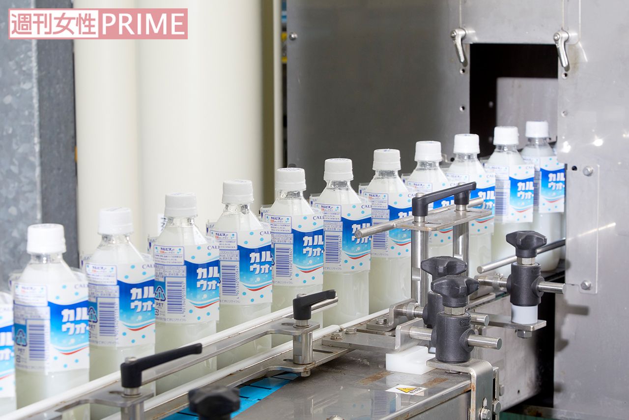 館林工場ではカルピス含め、1日に約300万本を生産する　撮影／渡邉智裕