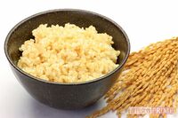 「発芽玄米」は最も“母乳”に近い完全栄養食！体重減にアトピー改善に免疫力アップを実証