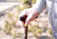 「老老介護・スラム化・おひとりさま国家」、あなたの老後を直撃する未来予想図