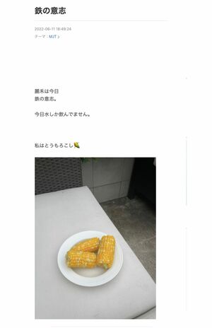 自身と麗禾さんの“断食”の様子を綴った市川海老蔵（公式ブログより）