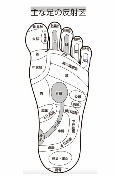 足の裏の反射区