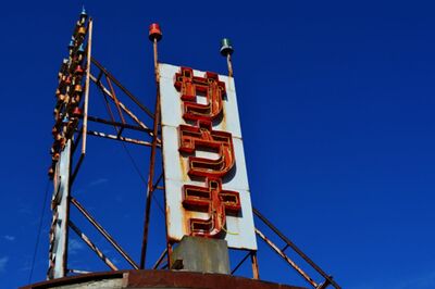 科学的根拠はほぼナシ？汗はかくけど毒は出ず！解毒のカギは腎臓と肝臓、サウナ・ホットヨガ・断食、やる意…