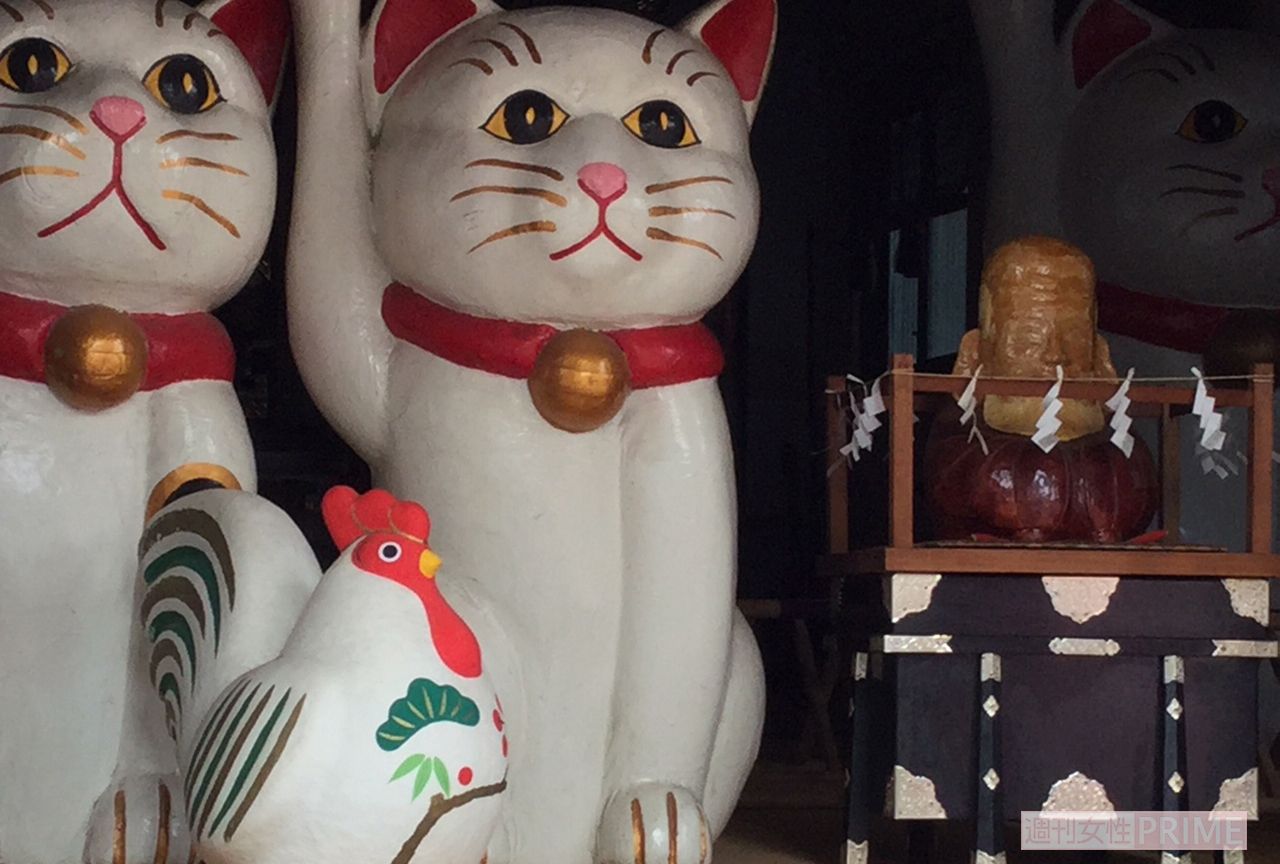 今戸神社のペアの招き猫はイザナギ、イザナミをイメージ。