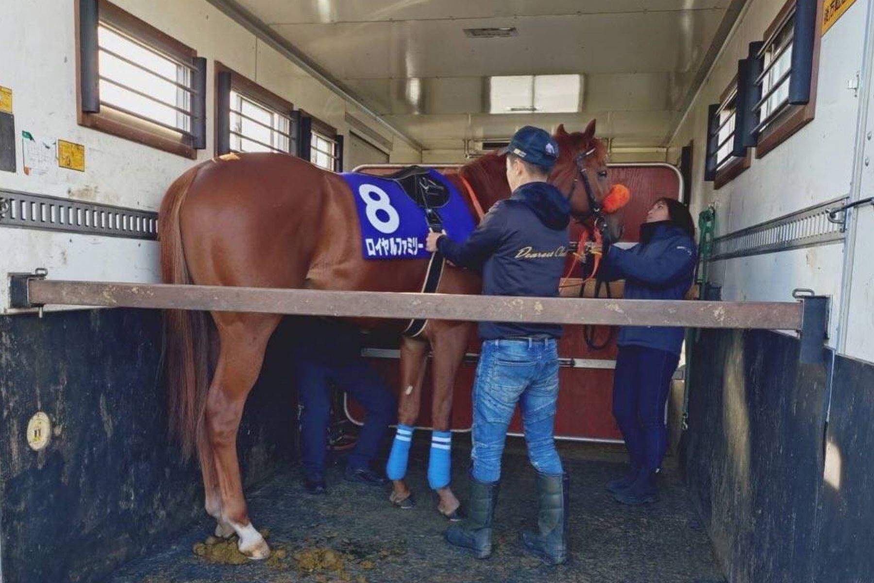 日曜劇場『ザ・ロイヤルファミリー』でロイヤルファミリー役に起用されたブレイヴソルジャー　写真提供／ディアレストクラブ