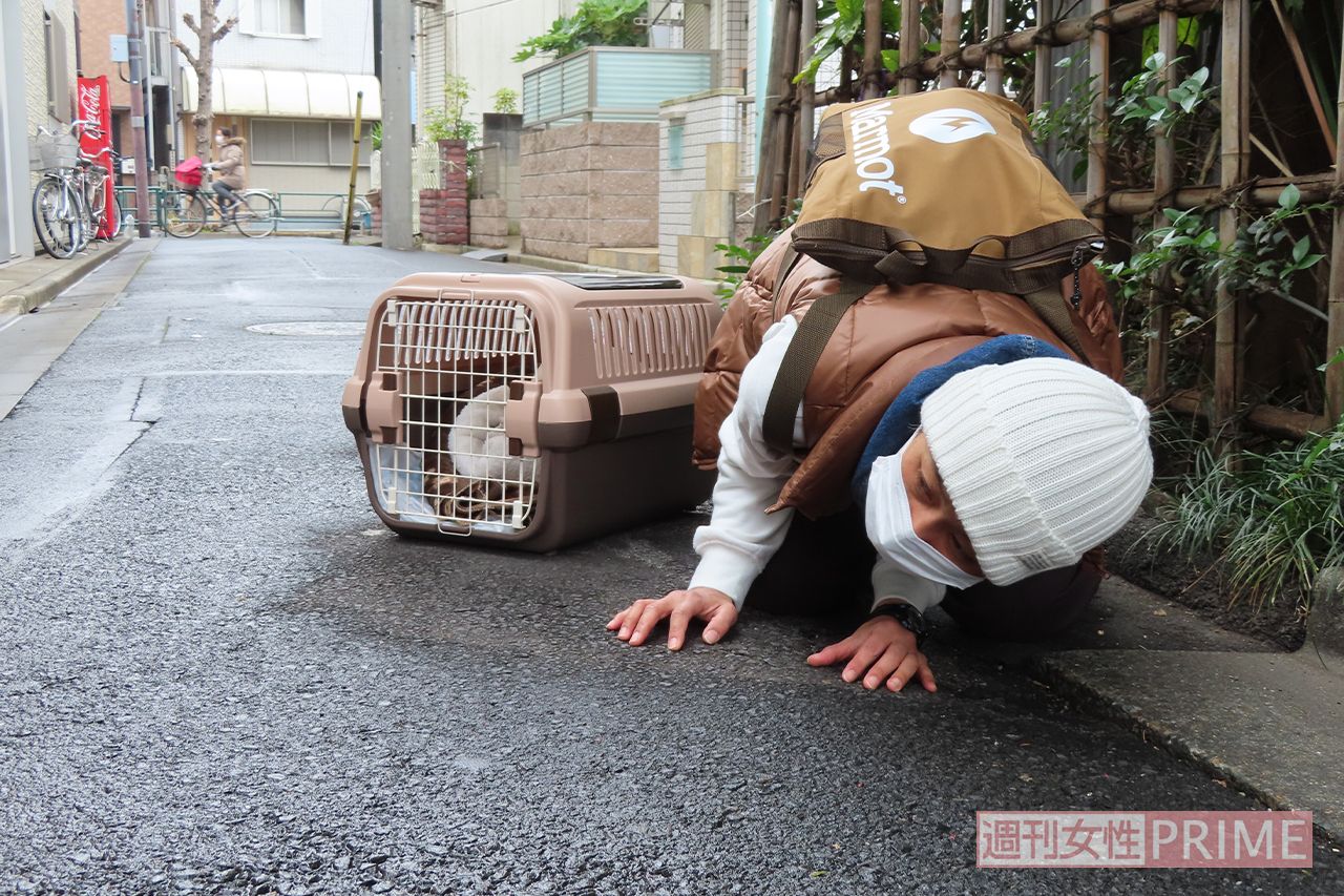 行方不明の猫を探して車の下をのぞく山口さん