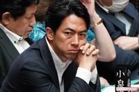 《自民党総裁選》小泉進次郎、ポスト岸田文雄首相の有力候補も「中身がない」“もし進”で起きる3つの危機