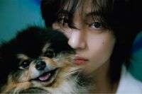 BTSのVが愛犬ヨンタンとそっくりな犬と共演に「Vなりの“反撃”では」BLACKPINKのジェニとの熱愛疑惑で“匂…