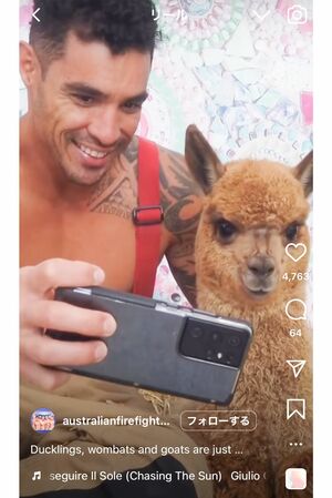 マッチョだってアルパカさんが大好き！こんな動画はＳＮＳをチェック